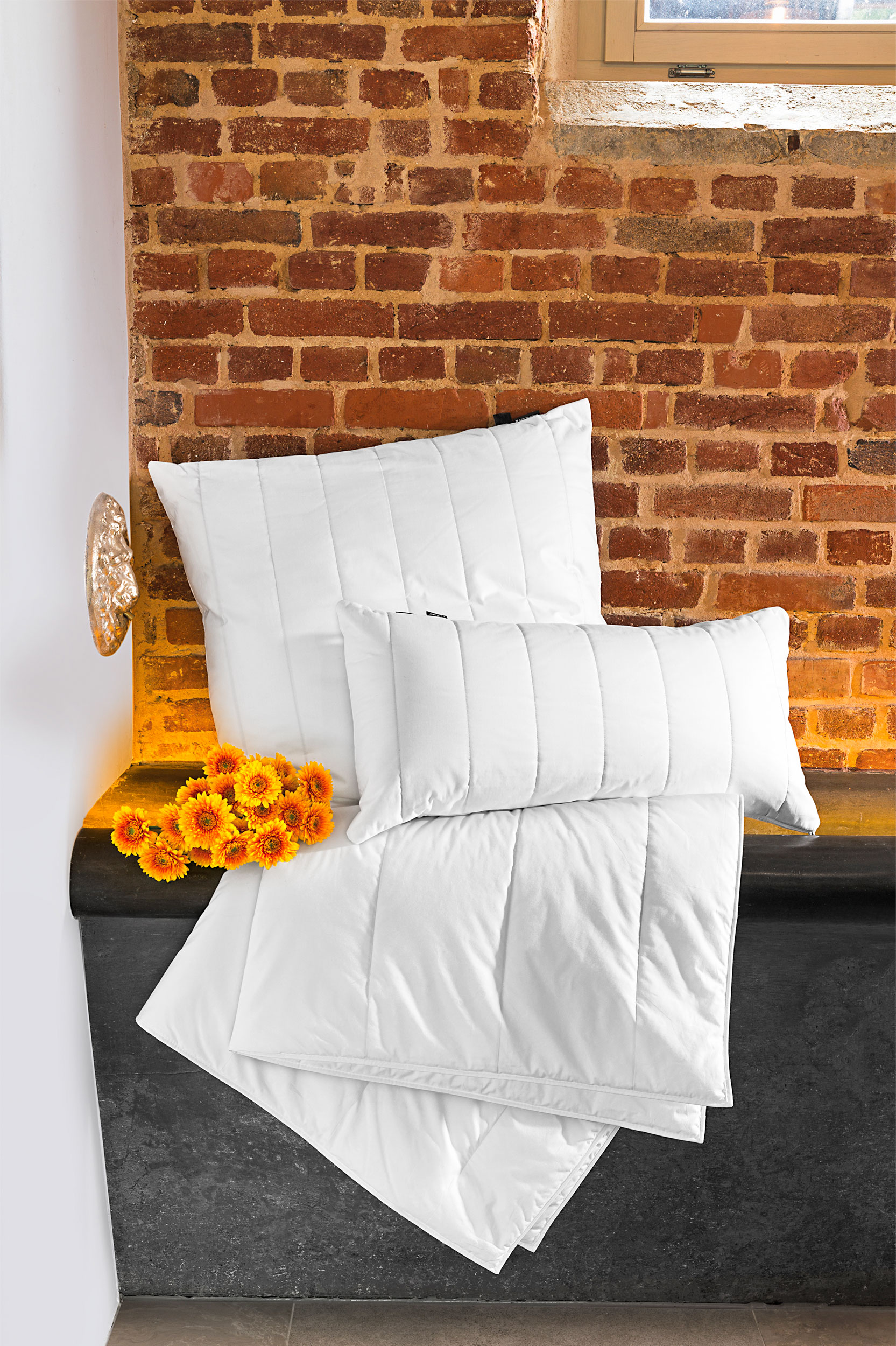 Solo-Bett 750g image number null