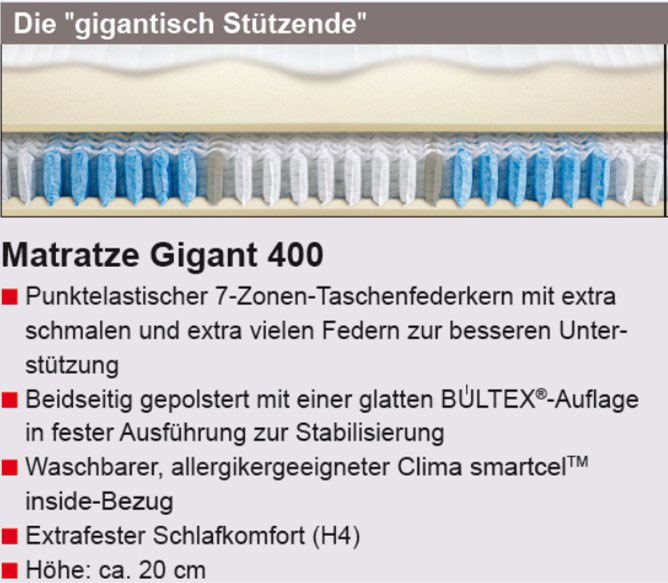 Taschenfederkernmatratze image number null