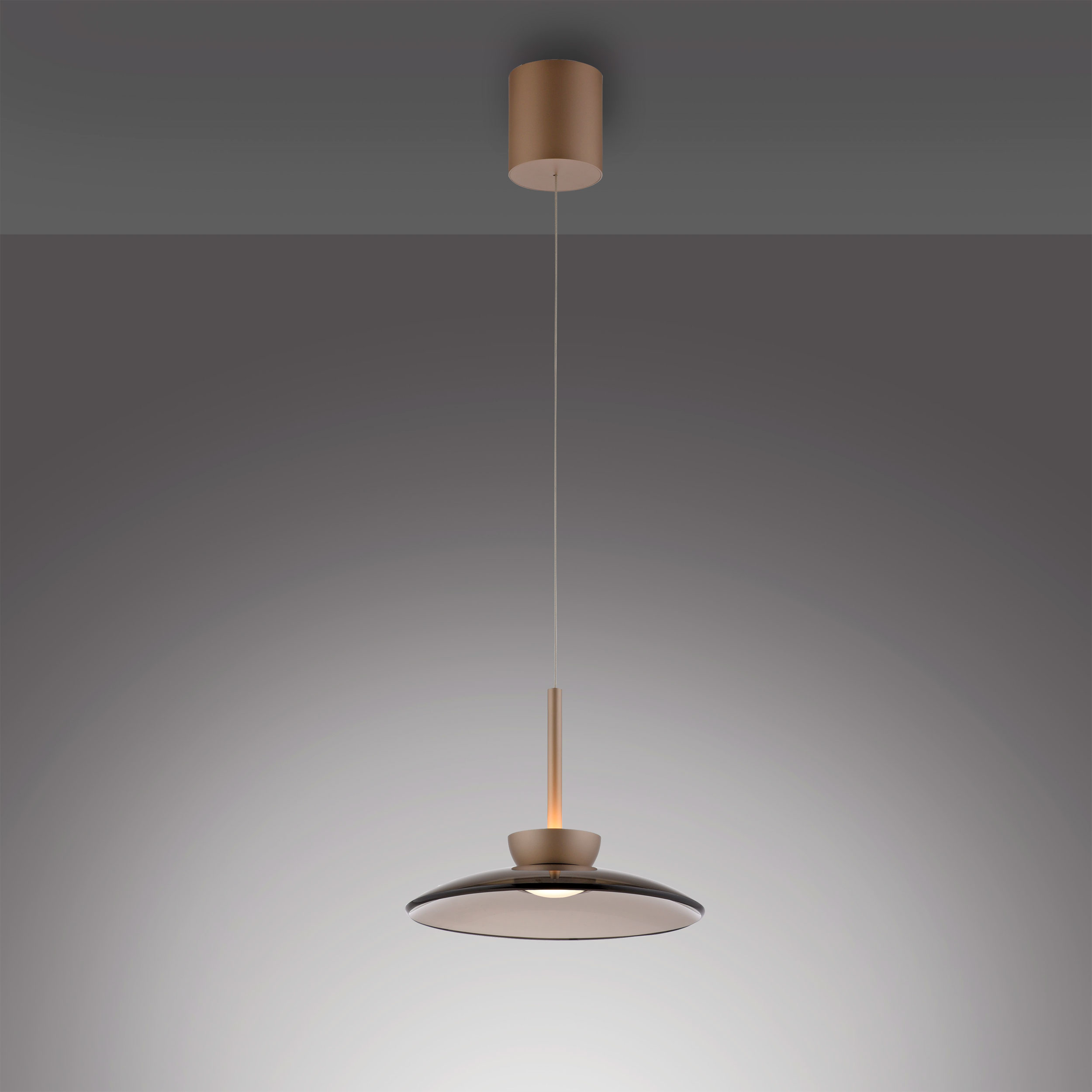 LED-Pendelleuchte 2flg image number null