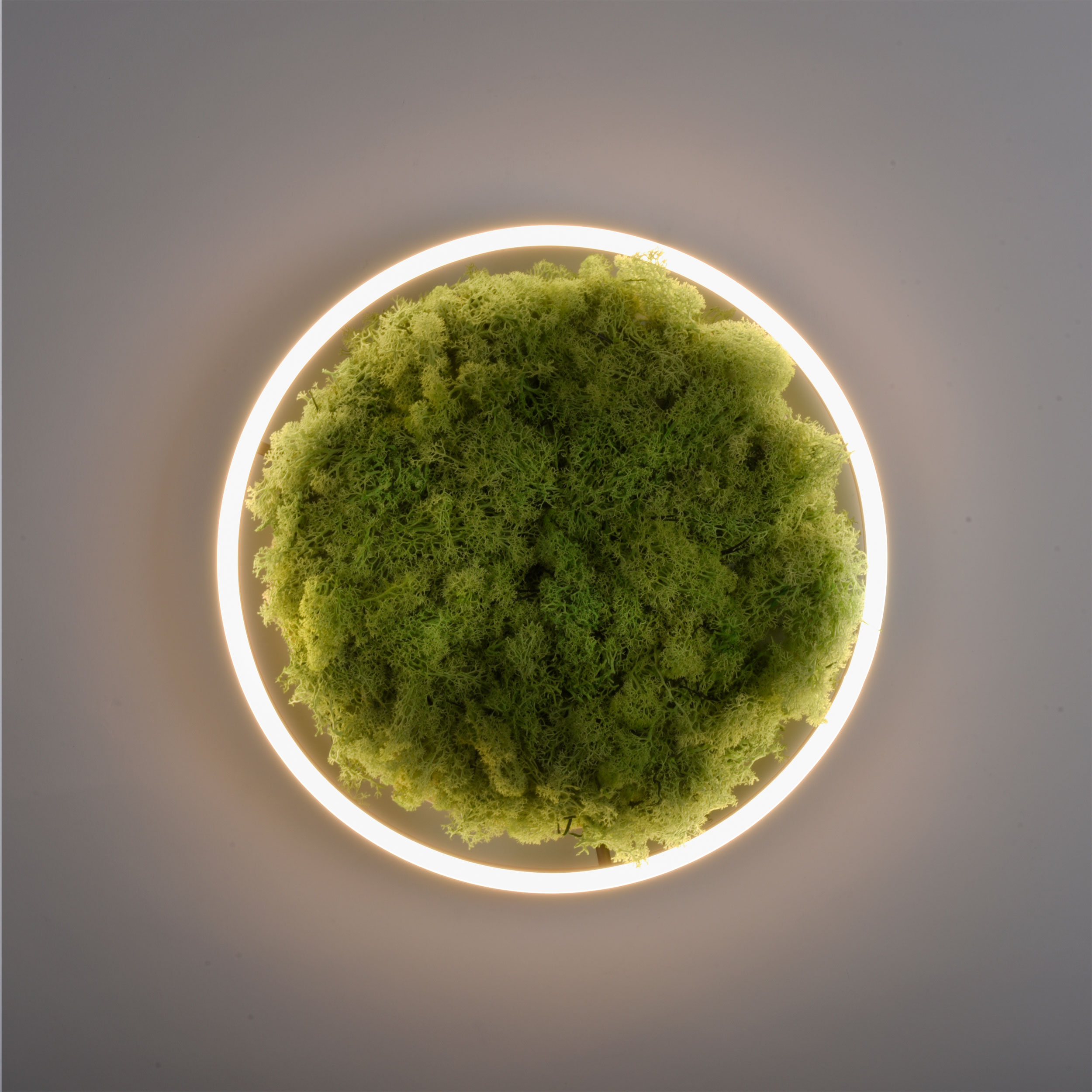 LED-Deckenleuchte 1flg image number null