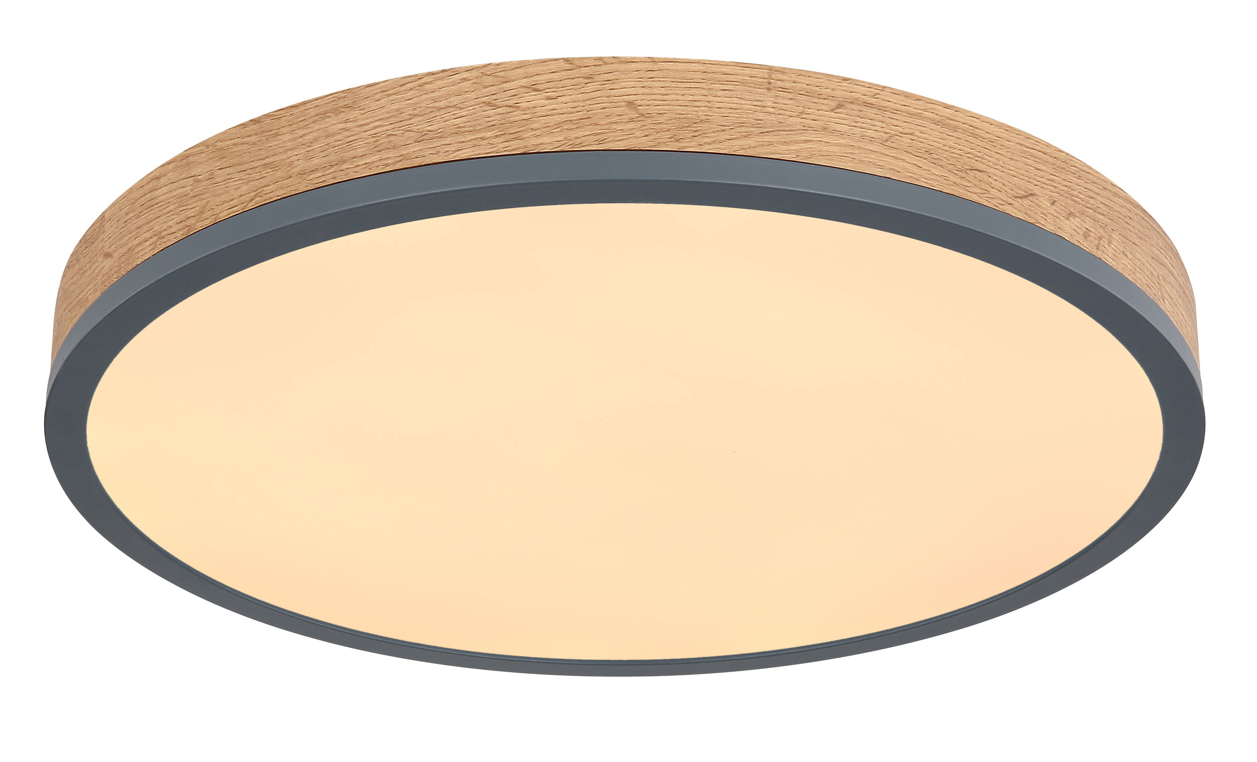 LED-Deckenleuchte rund 1flg image number null