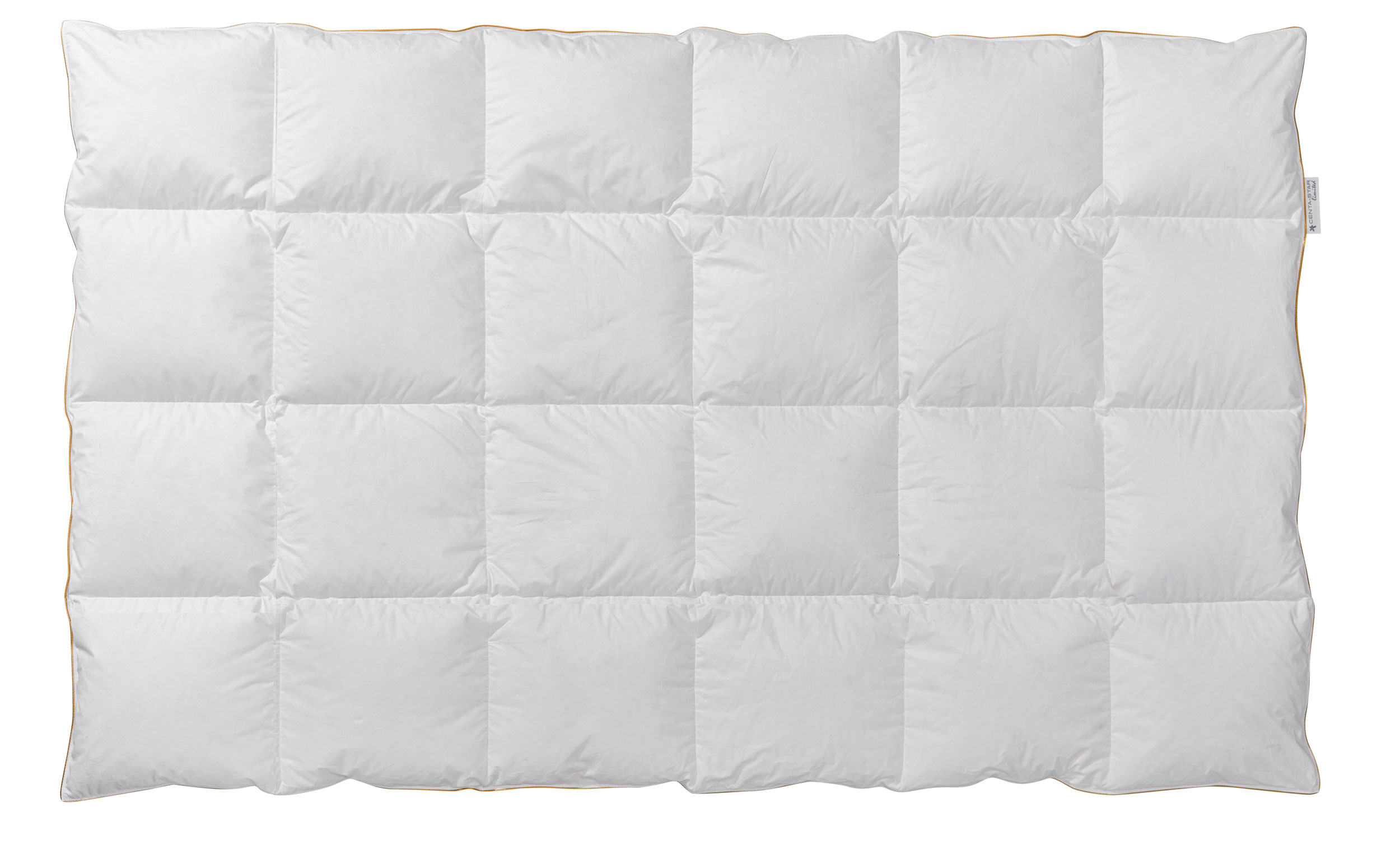 Ganzjahresbett 520g (medium) image number null