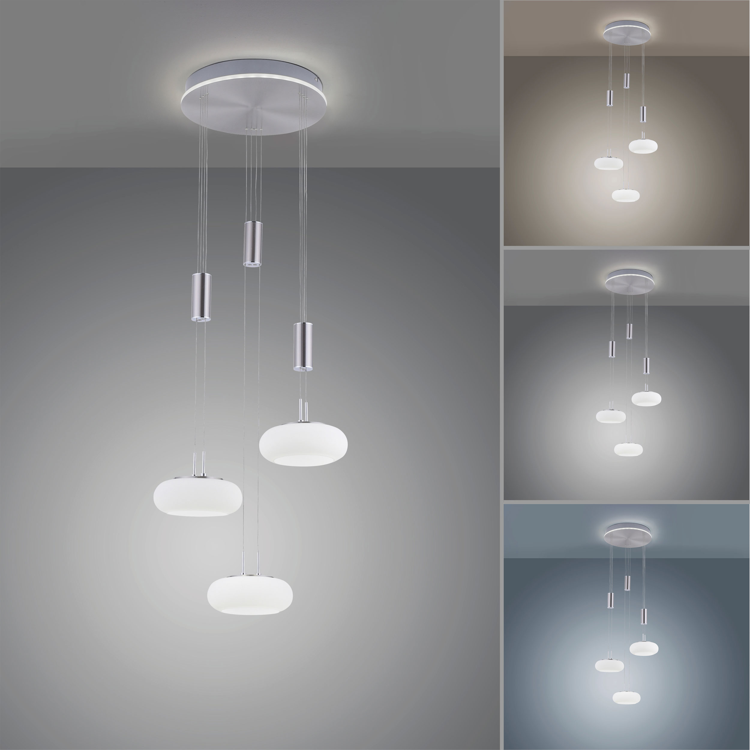 Paul Neuhaus LED-Pendelleuchte 4flg image number 4