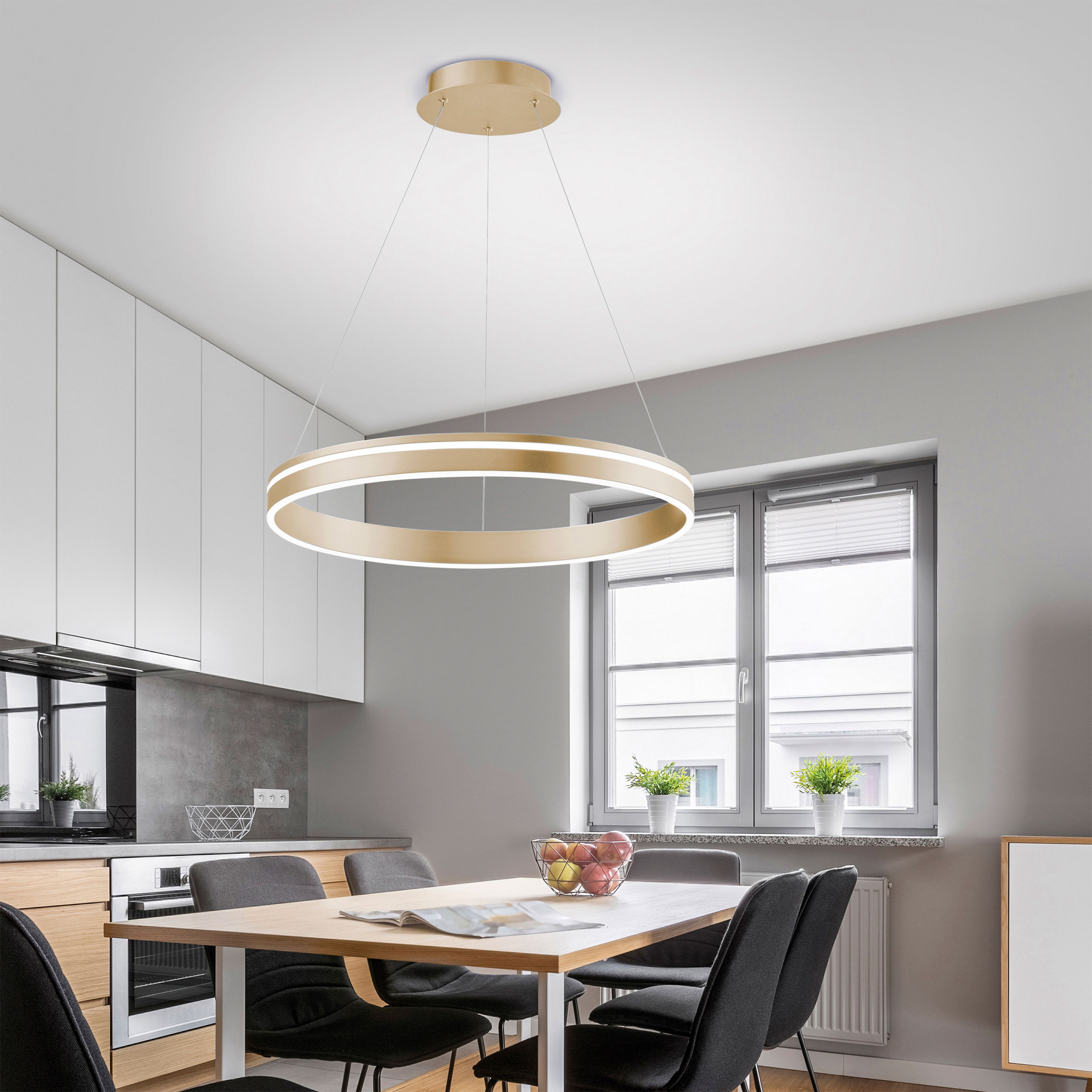 Paul Neuhaus LED-Pendelleuchte 1flg image number 5