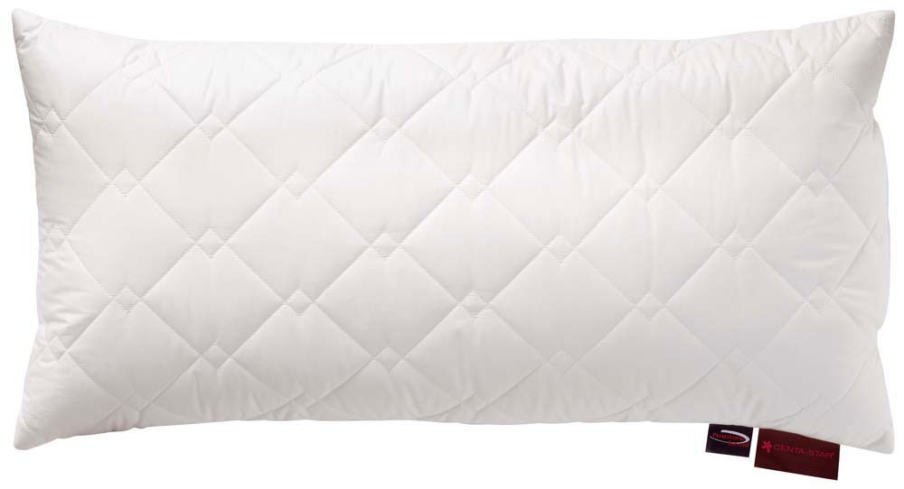 CENTA-STAR Kleinkissen 500g image number 1