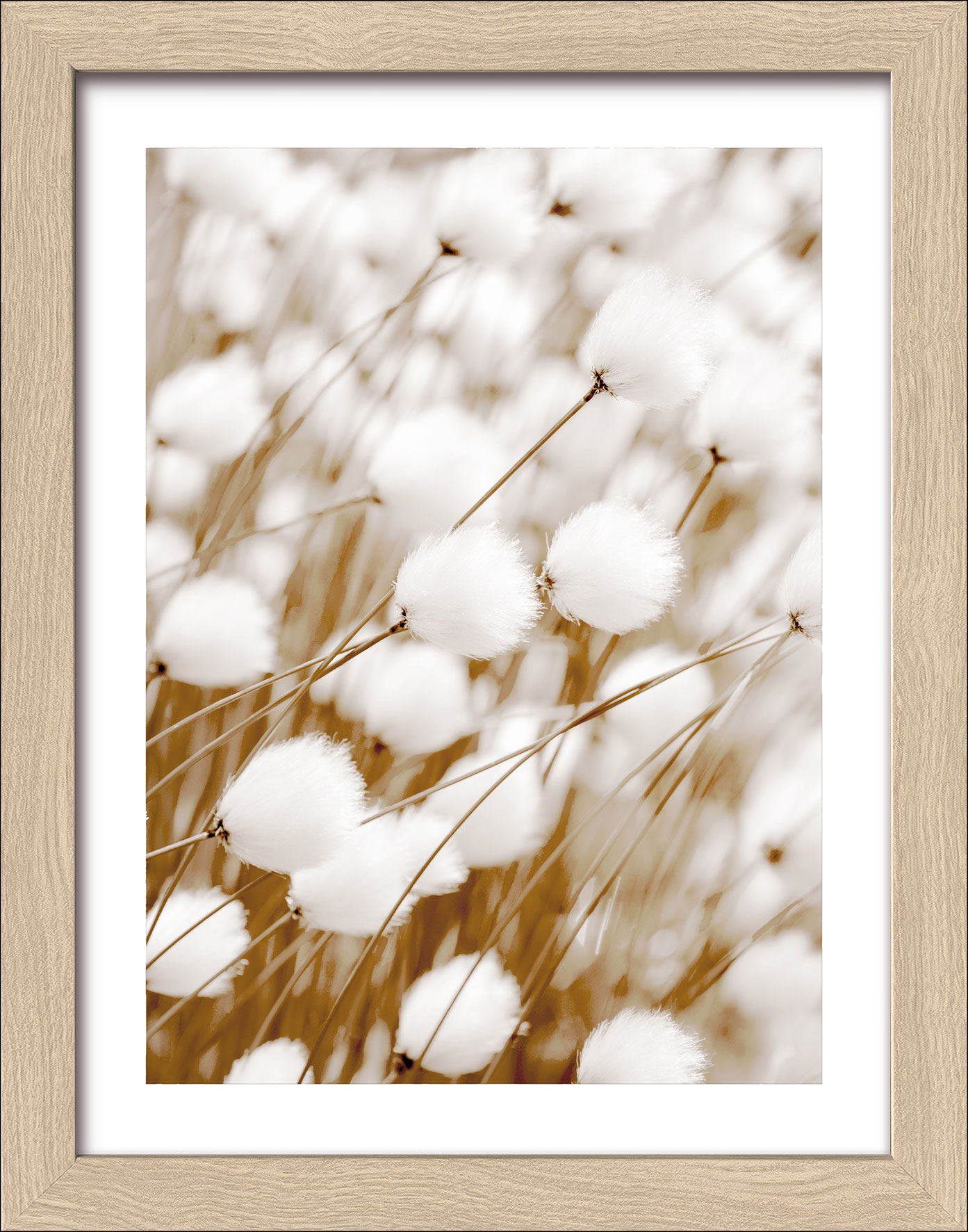 Kunstdruck gerahmt 19x24cm image number null