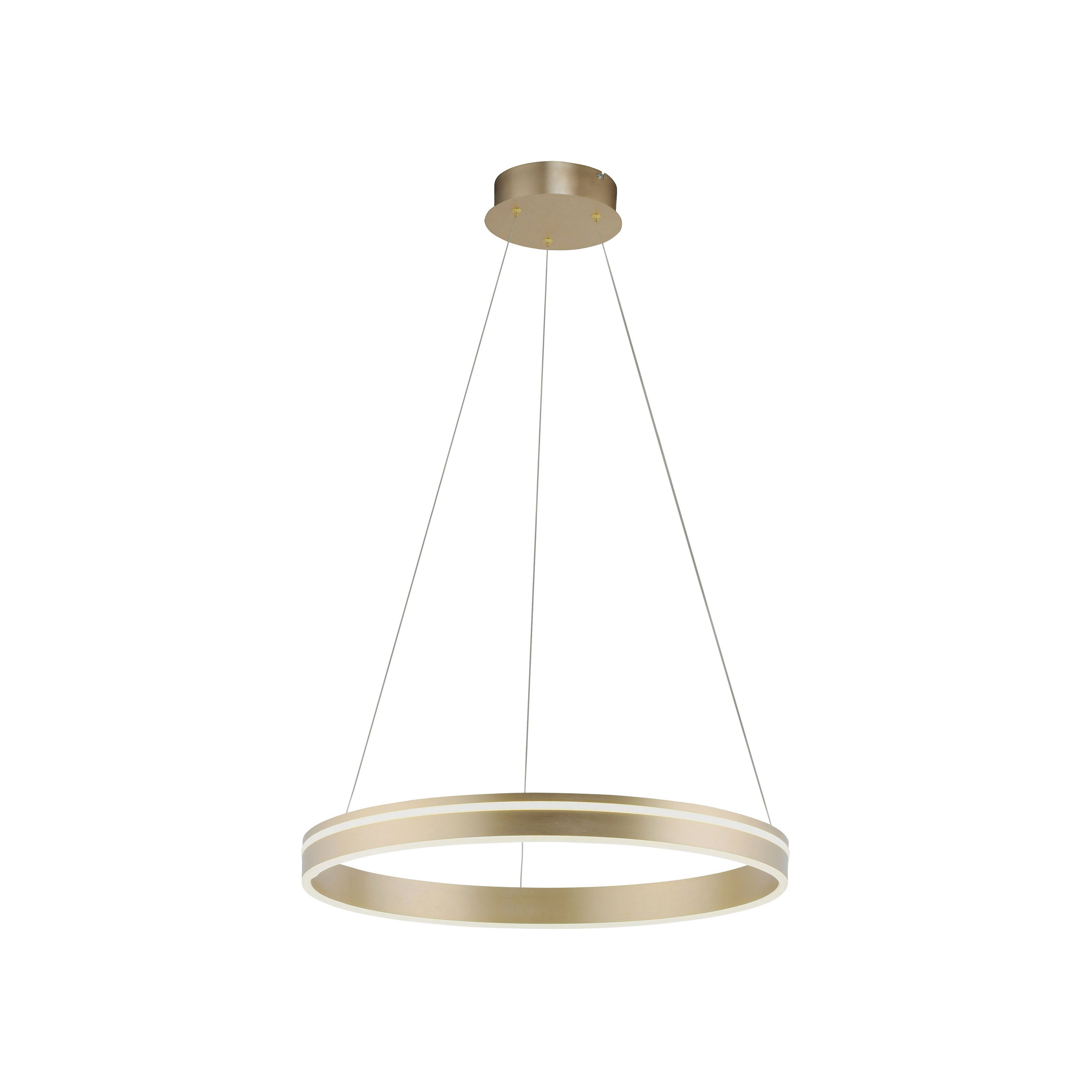 Paul Neuhaus LED-Pendelleuchte 1flg image number 1