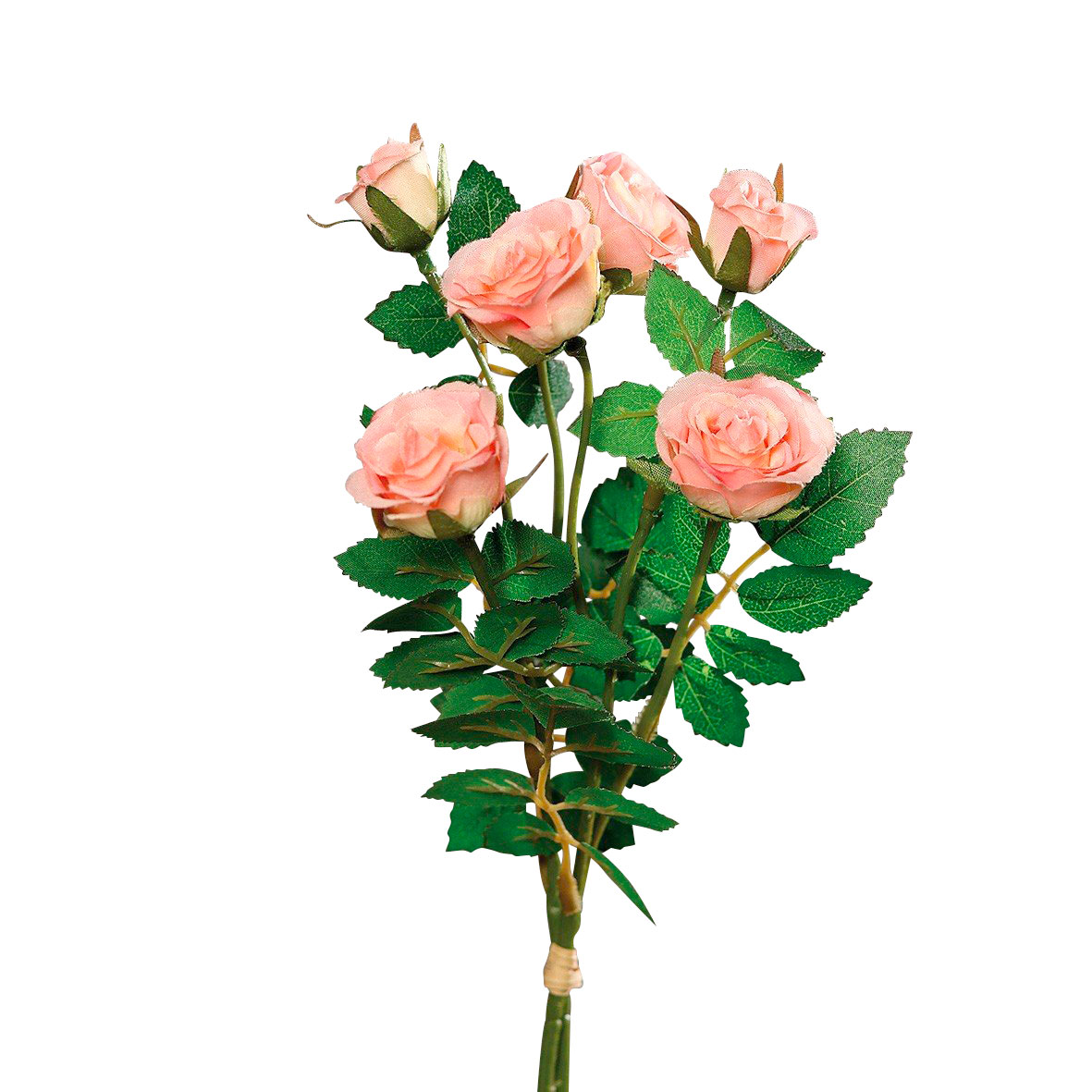 DPI Rosenpick image number 1
